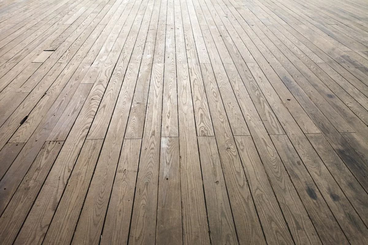Wood plank flooring in a bright room